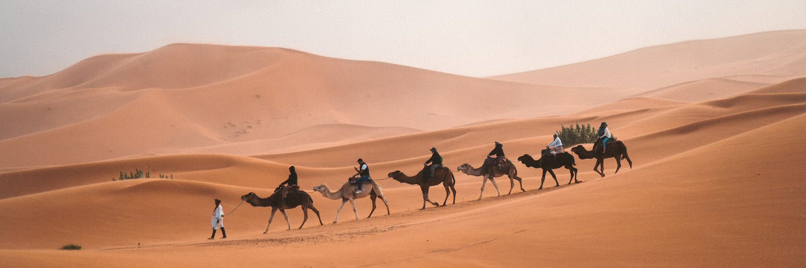Reisen und Abenteuer - Reisetagebücher und Kartensets für die Reise