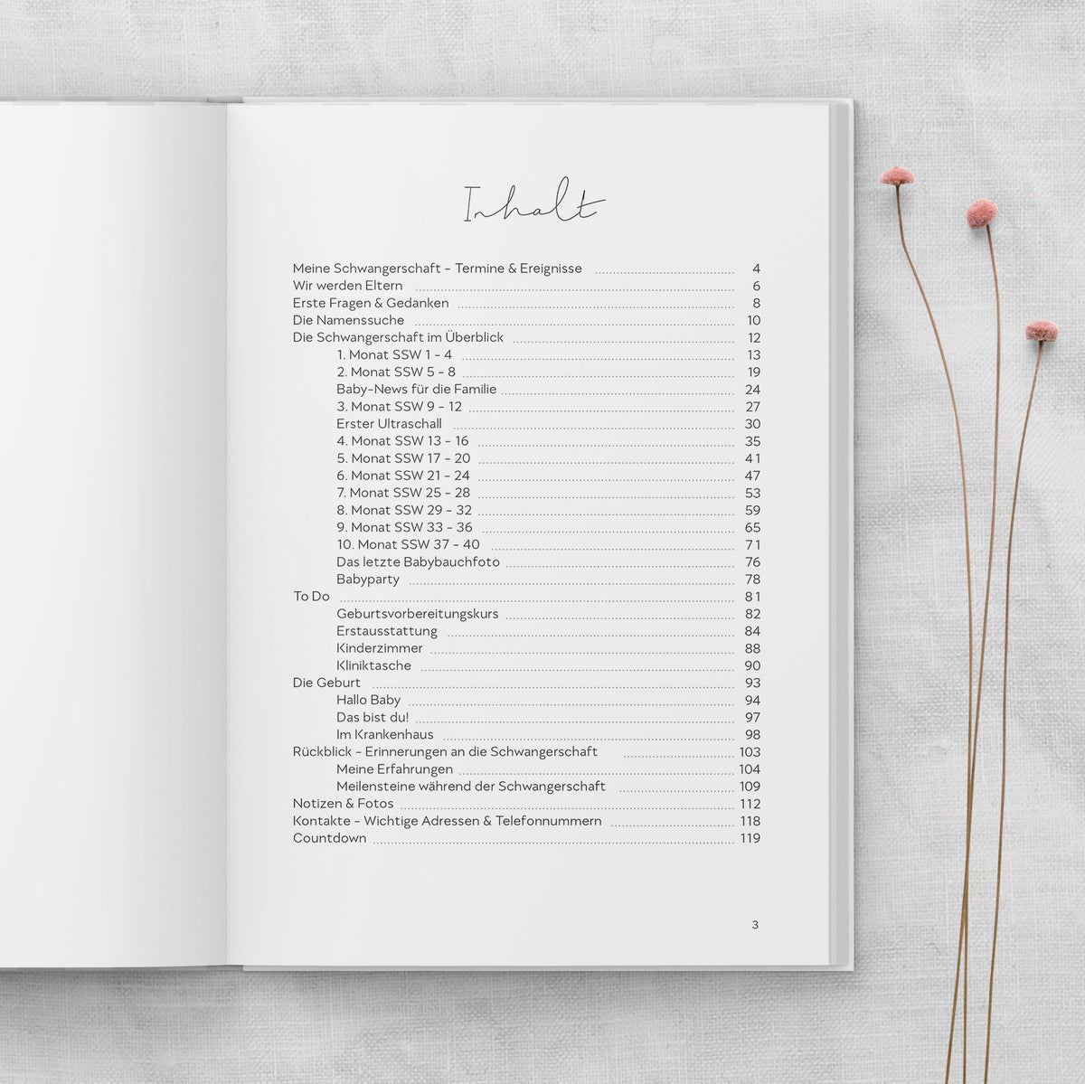 Schwangerschaftstagebuch Mein Babybauch